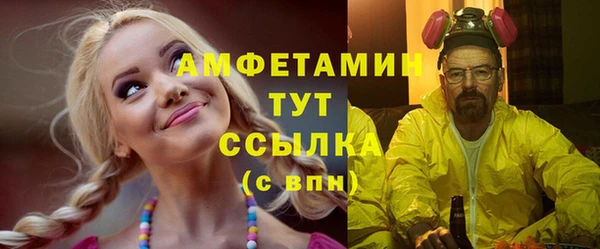 винт Абаза