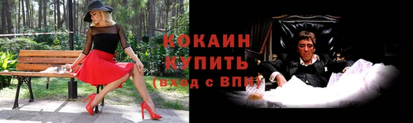 винт Абаза