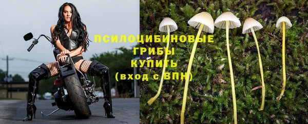 мет Абдулино