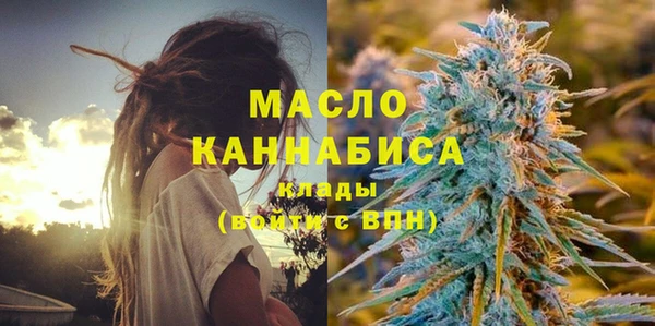 винт Абаза
