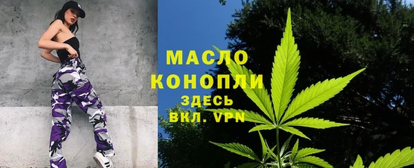 винт Абаза