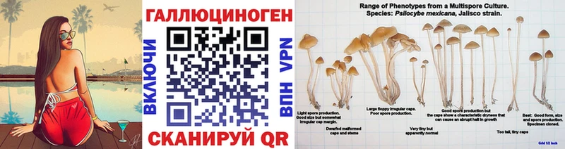 как найти наркотики  Соликамск  Псилоцибиновые грибы Magic Shrooms 